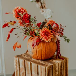 CAISSE BOIS BRULE dès 10 €